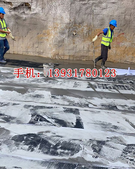 非瀝青基自粘膠膜卷材施工圖片